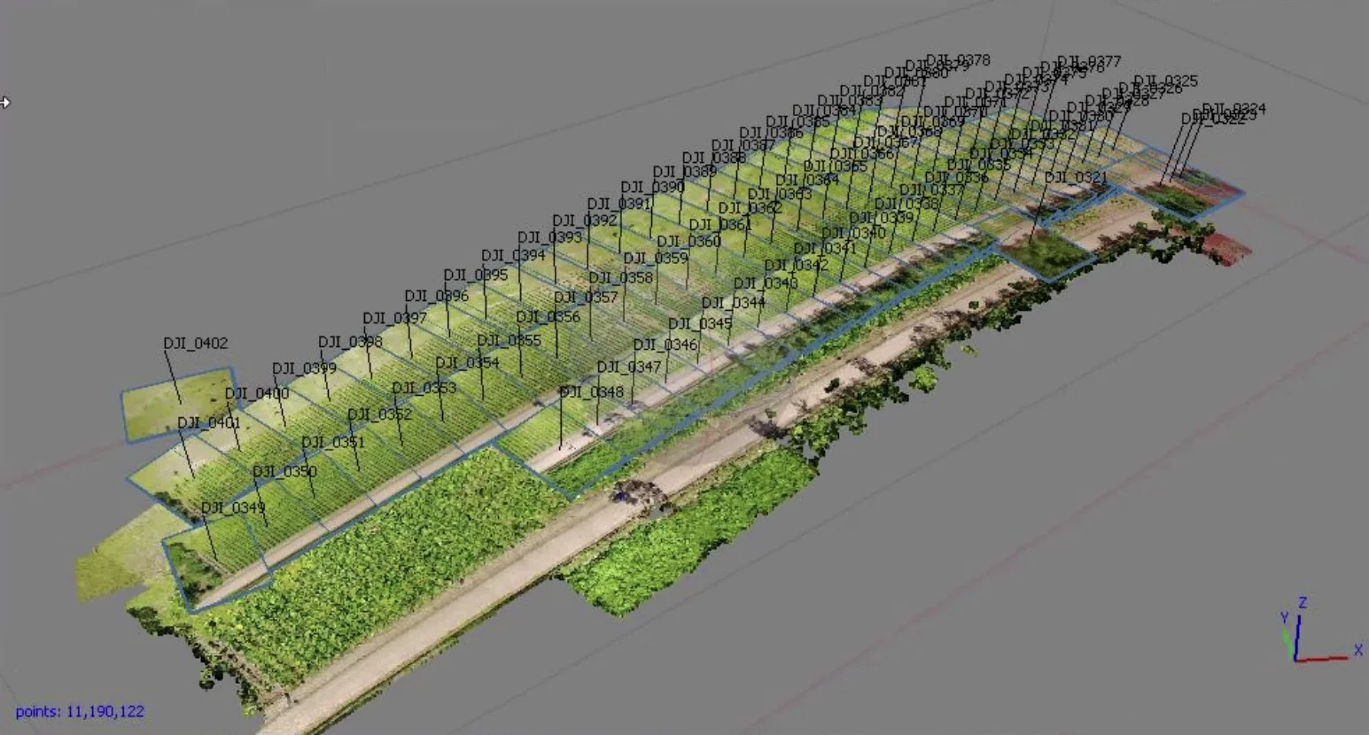 3D model with per-tree bounding boxes