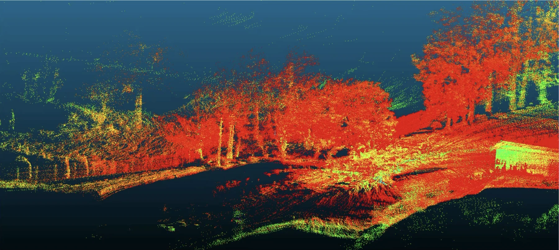 VLP-16 LiDAR point cloud of trees
